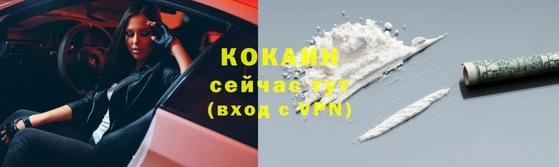 Cocaine Эквадор  цены наркотик  Курчалой 